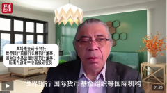 全球洞察世行前副行长：金砖国度是国际
